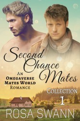 Second Chance Mates Collection 1 • Second Chance Mates Collection 1