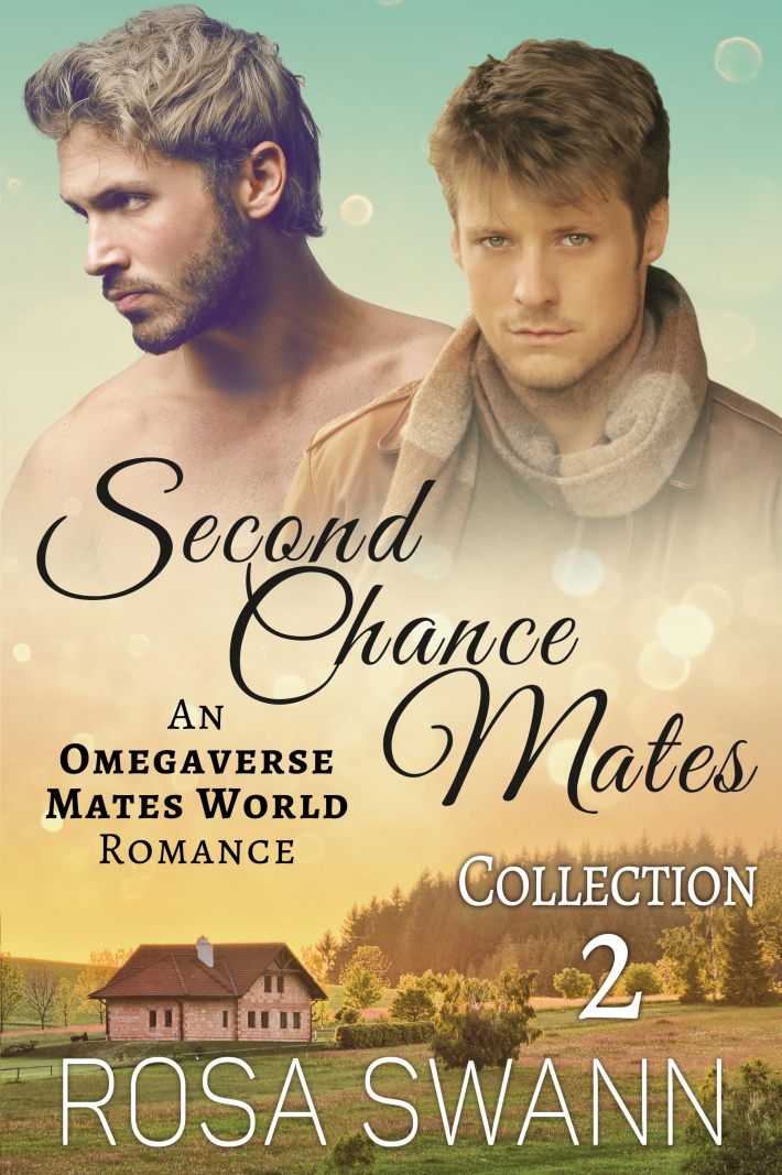 Second Chance Mates Collection 2 • Second Chance Mates Collection 2