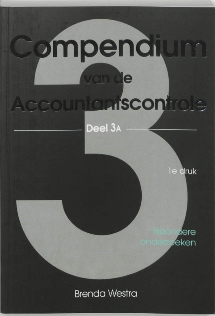 Compendium van de accountantscontrole