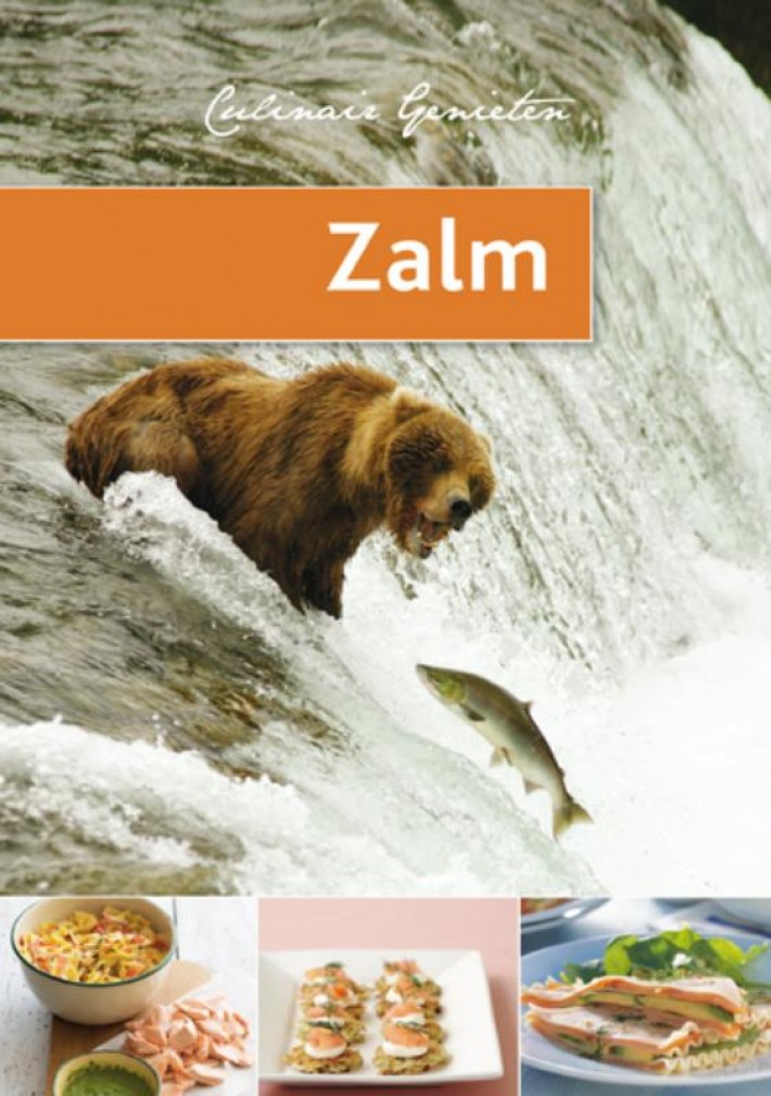 Zalm (set van 5) • Zalm