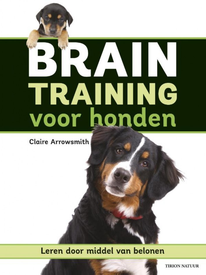 Braintraining voor honden