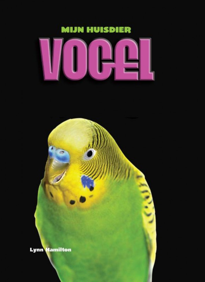 Vogel