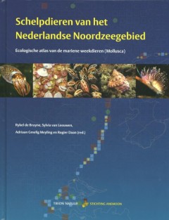Schelpdieren van het Nederlandse Noordzeegebied
