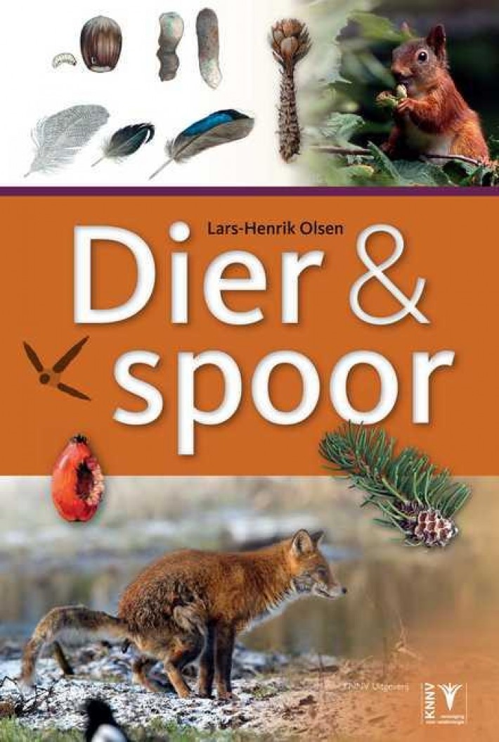 Dier en spoor