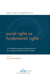 Social rights as fundamental rights
