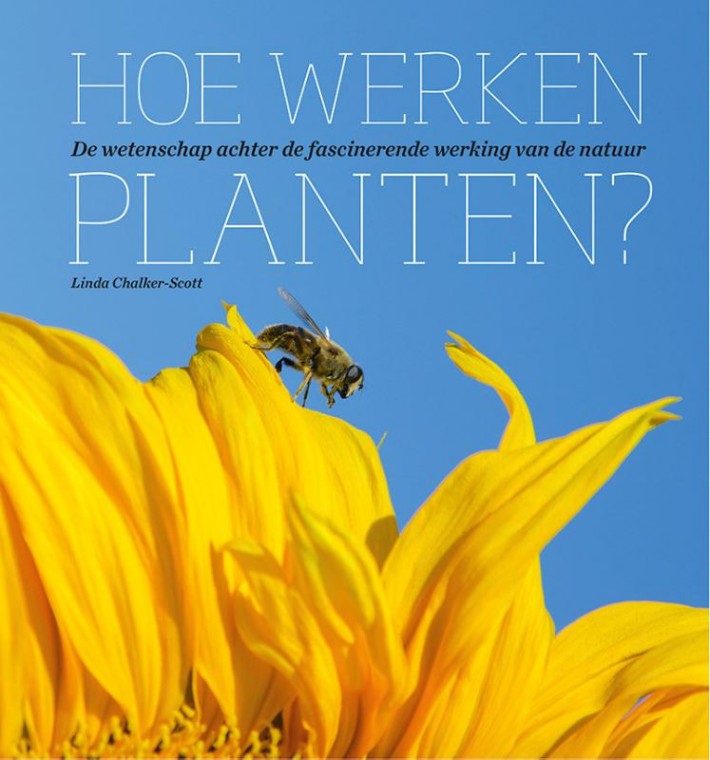 Hoe werken planten?