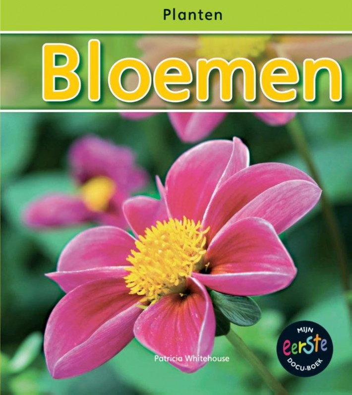 Bloemen