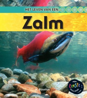 Zalm