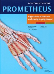 Algemene anatomie en bewegingsapparaat