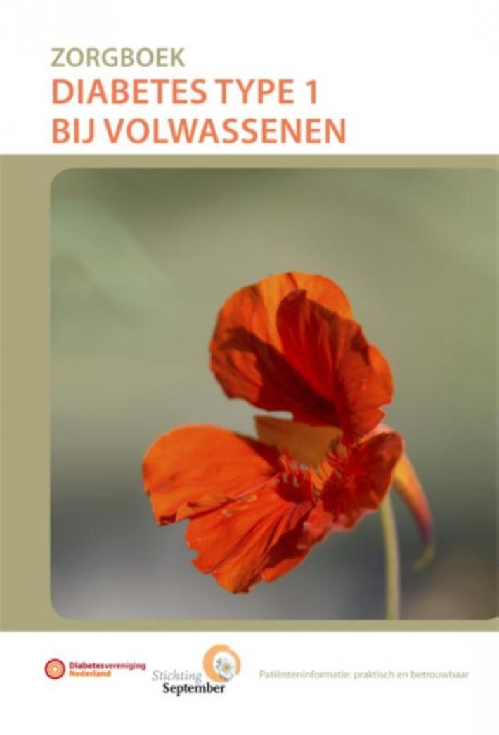 Zorgboek Diabetes type 1 bij volwassenen