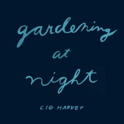 Gardening at night