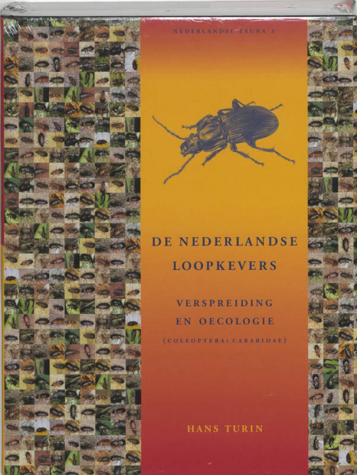 De Nederlandse loopkevers