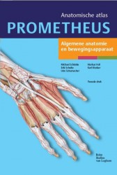 Algemene anatomie en bewegingsapparaat