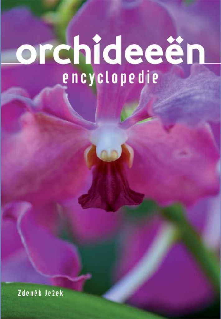 Geillustreerde Orchideeen encyclopedie
