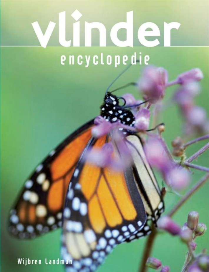 Vlinder encyclopedie