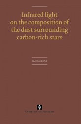 Infrared light on the composition of the dust surrounding carbon-rich stars
