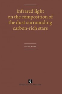 Infrared light on the composition of the dust surrounding carbon-rich stars