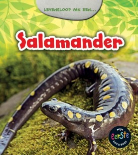 Salamander • Salamander