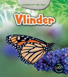 Vlinder • Vlinder