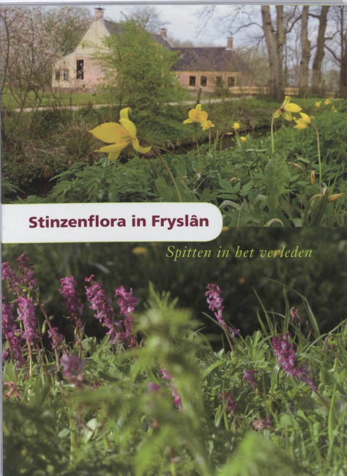 Stinzenflora in Friesland