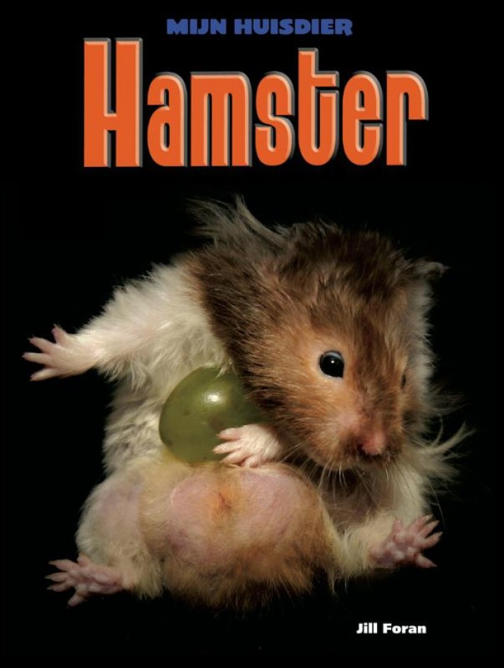 Hamster