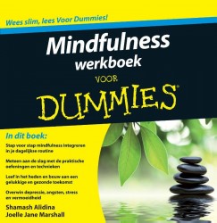 Mindfulness werkboek voor Dummies