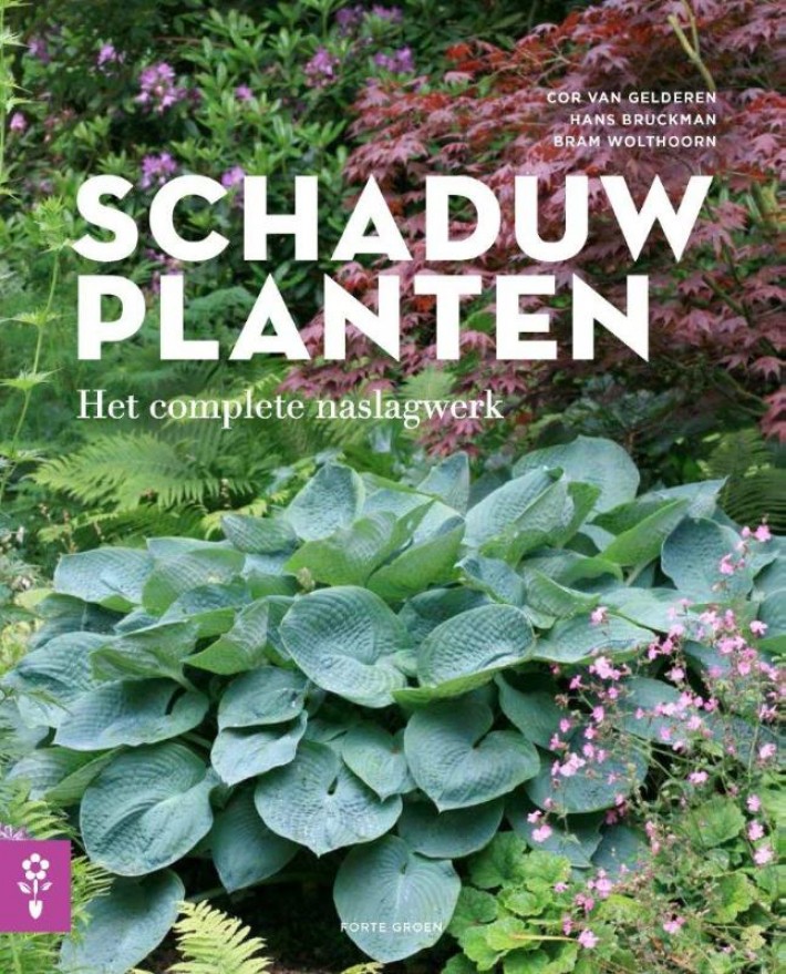 Schaduwplanten