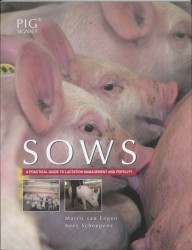 Sows
