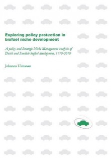Exploring policy protection in biofuel niche development
