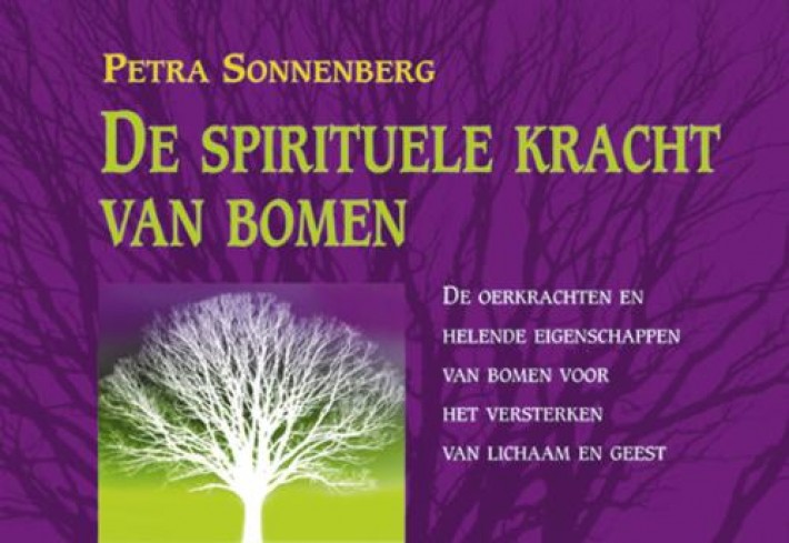 De spirituele kracht van bomen