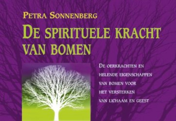 De spirituele kracht van bomen