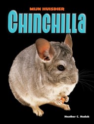 Chinchilla