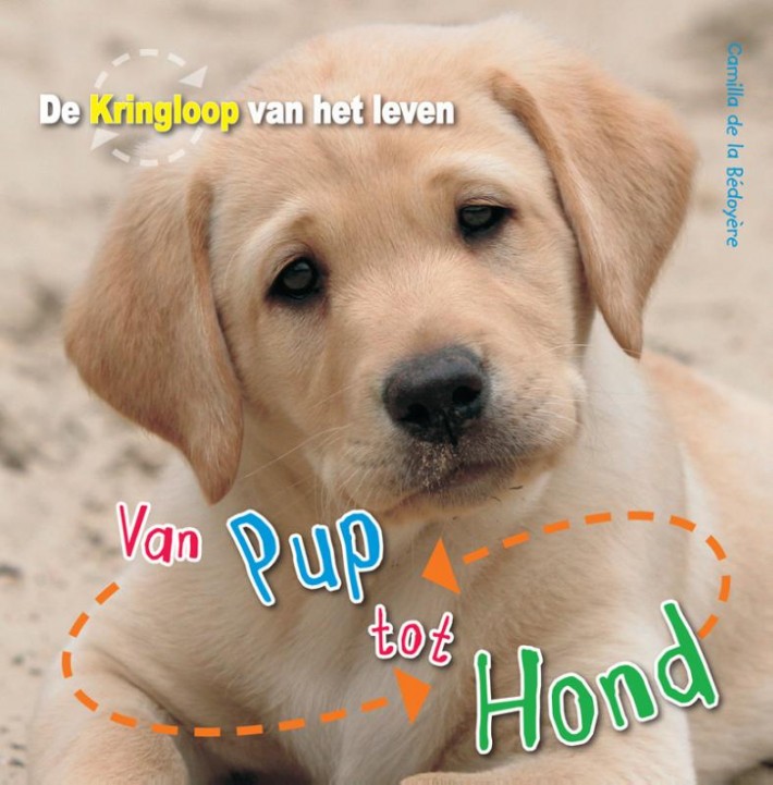 Van pup tot hond