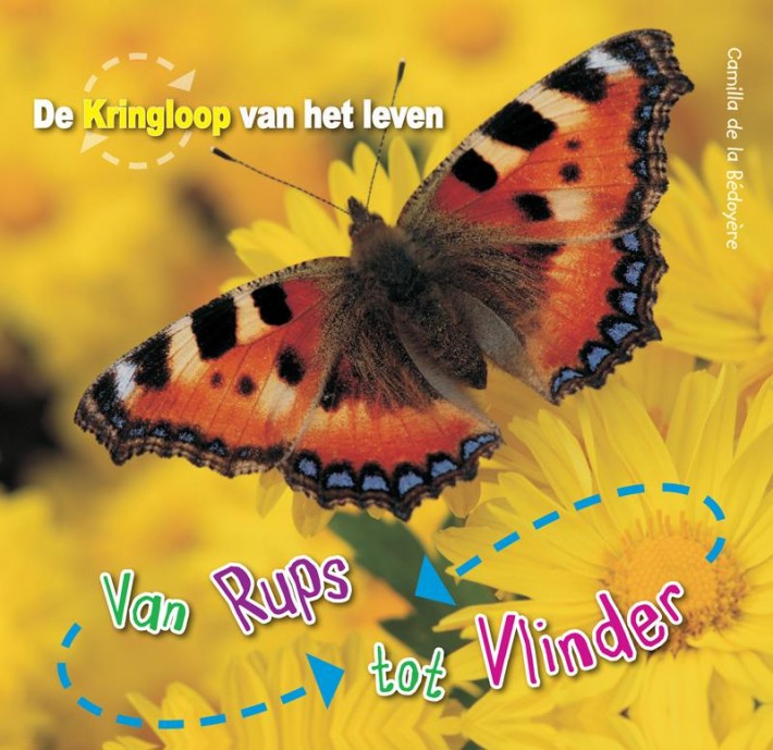 Van Rups tot vlinder