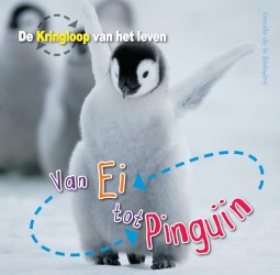 Van ei tot pinguin