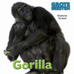 Gorilla • Gorilla
