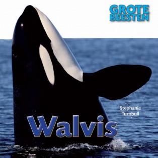 Walvis • Walvis