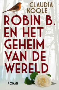 Robin B. en het geheim van de wereld