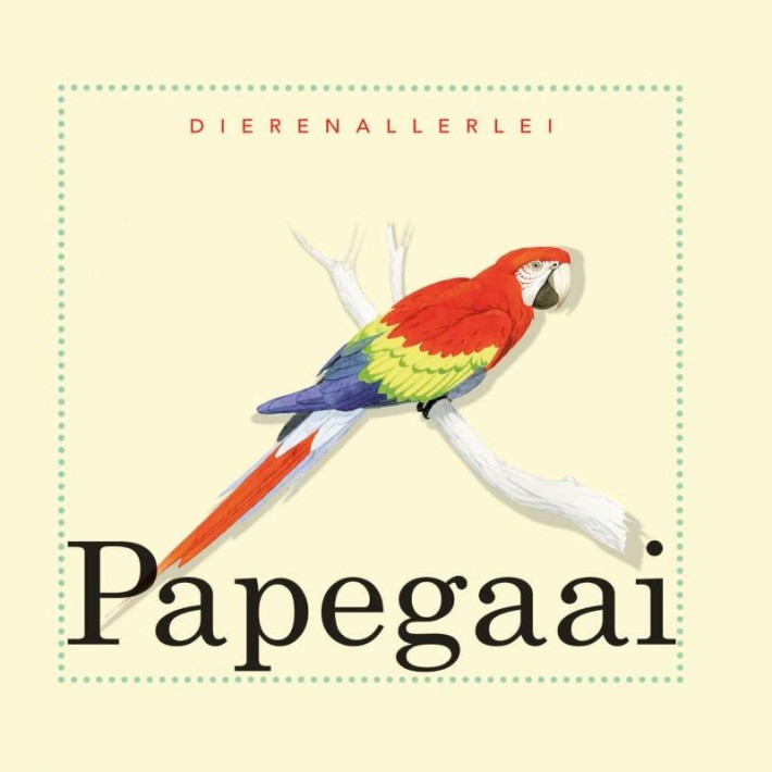 Papegaai