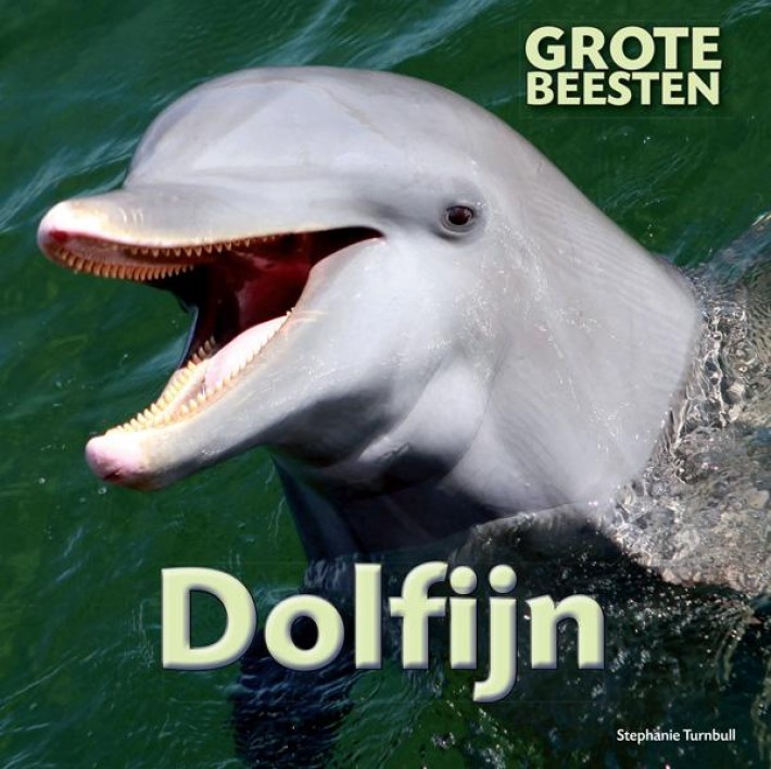Dolfijn • Dolfijn