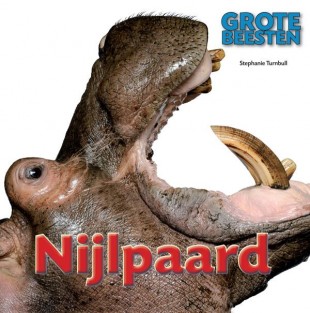Nijlpaard • Nijlpaard