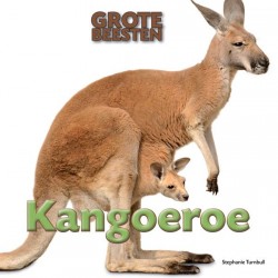 Kangoeroe • Kangoeroe