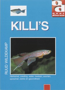Killi's