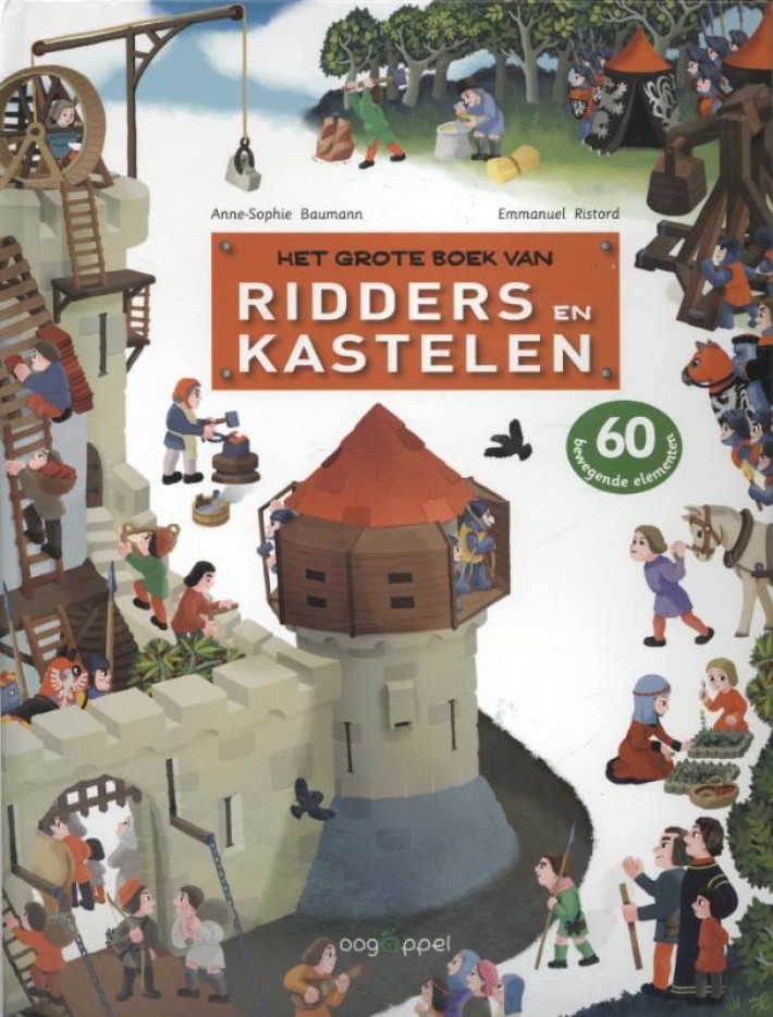 Het groter boek van ridders en kastelen