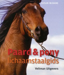 Paarden & pony's