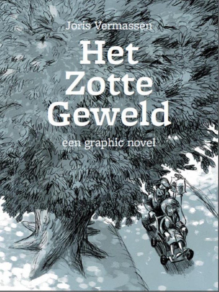 Het zotte geweld