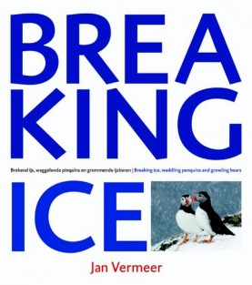 Breaking Ice