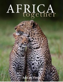 Africa together