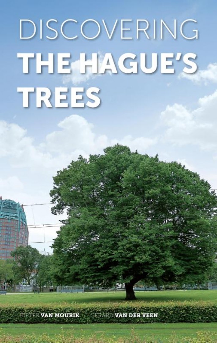 Discovering The Hagues trees