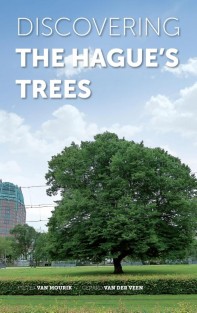 Discovering The Hagues trees